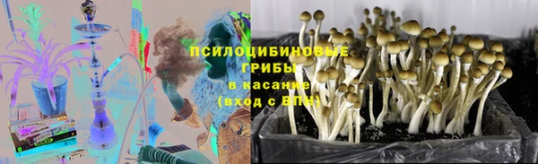 прущие грибы Алексеевка