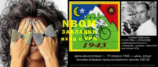 прущие грибы Алексеевка