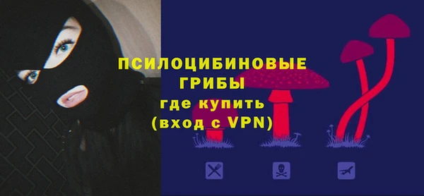 прущие грибы Алексеевка